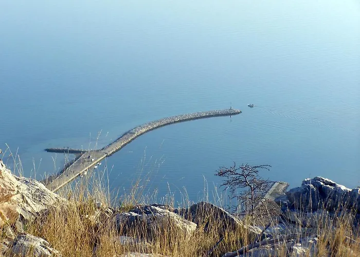 Lid * Omiš